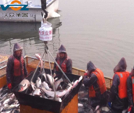 ˮ�캣��O�I���a���÷�ˮ����ӵ���